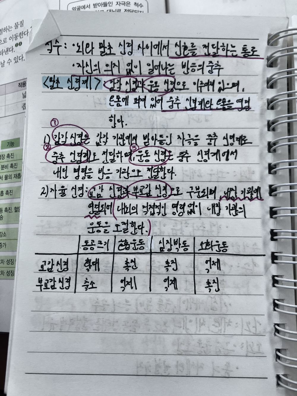 경산 사동 와와학습코칭 사동점 · 수학 수업 현황